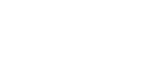 karndean logo